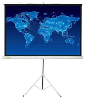 Экран Cactus 150x150см Triscreen CS-PST-150x150 1:1 напольный рулонный черный