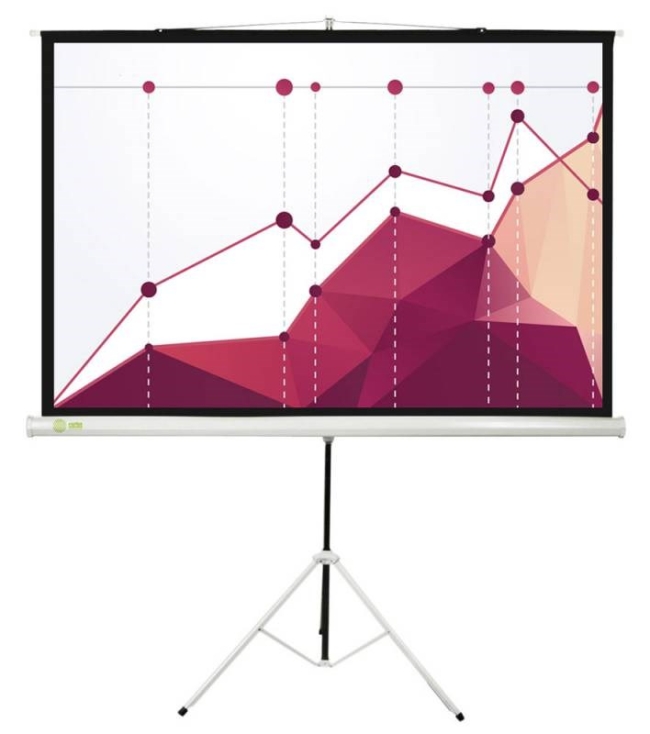 Экран Cactus 180x180см Triscreen CS-PST-180x180 1:1 напольный рулонный черный